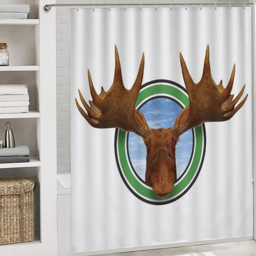 Northern Fauna Deer — Detail 4