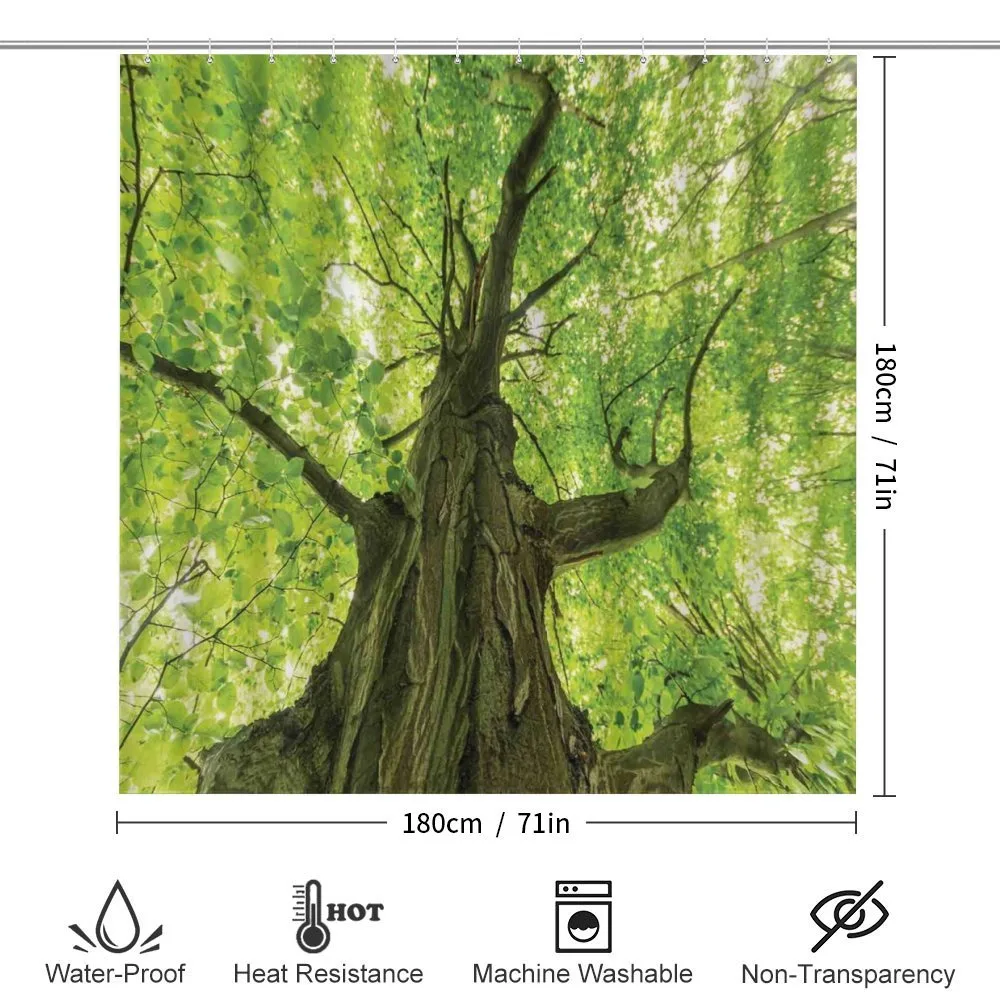 Old Big Majestic Tree — Detail 2