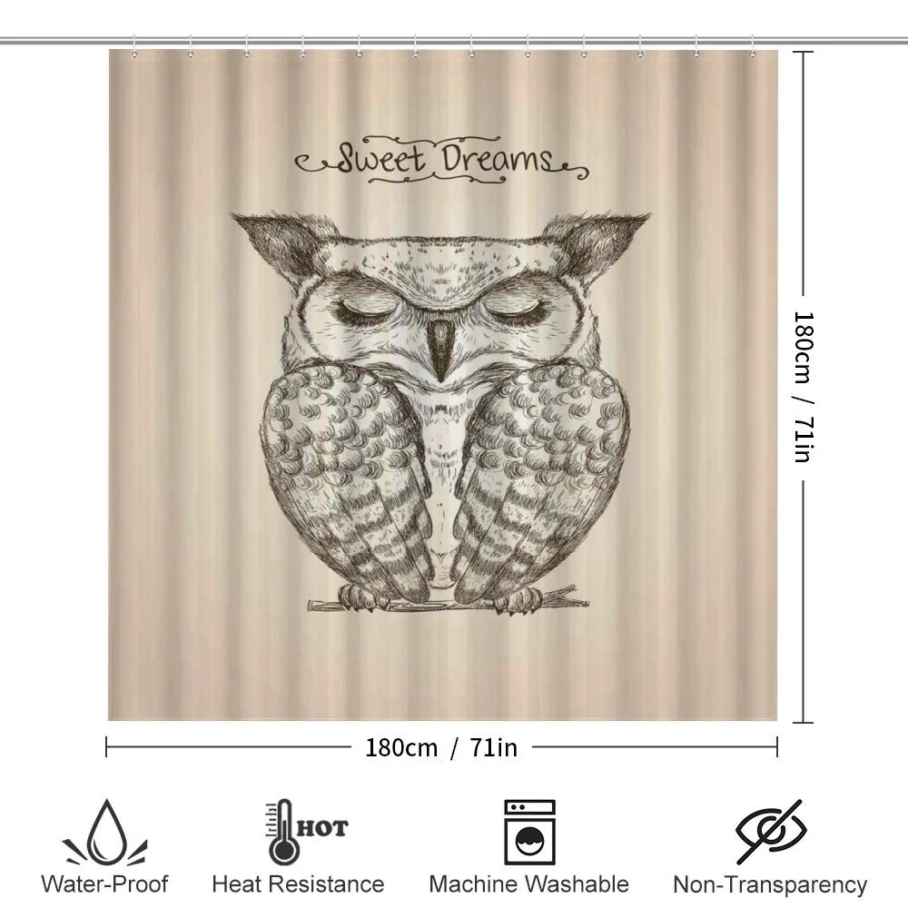 Sleeping Owl Dreams — Detail 2