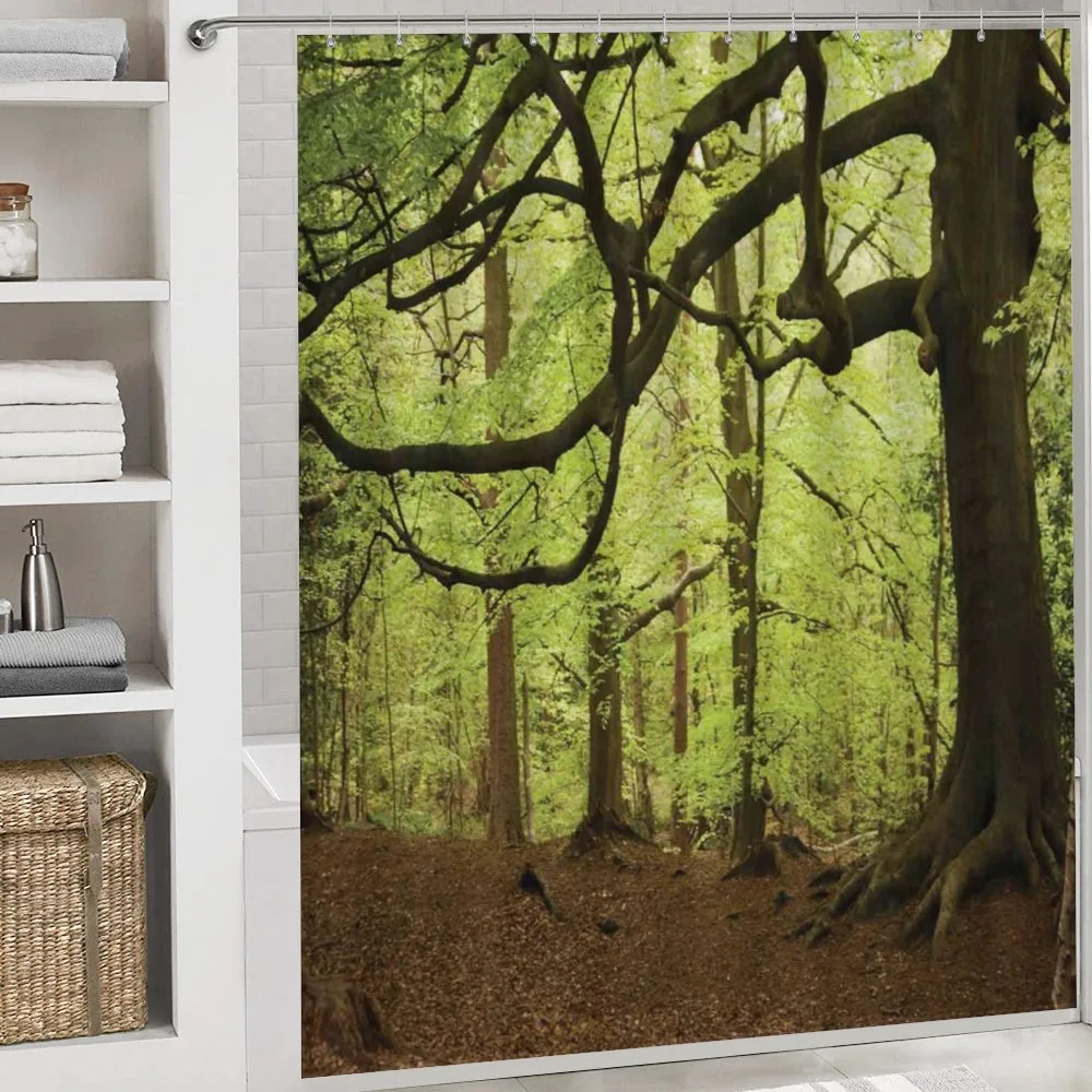 Woodland Natural Beauty — Detail 4