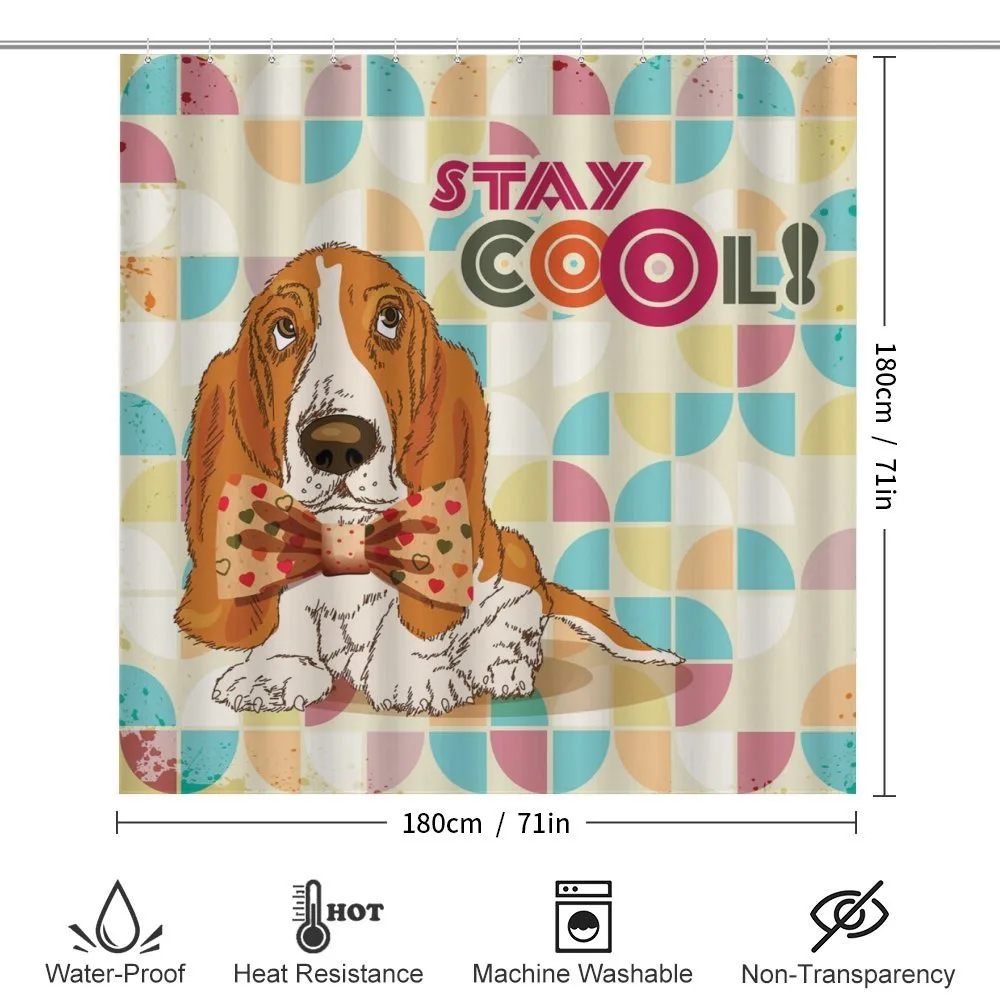 Basset Hound Dog with Bow — Detail 2