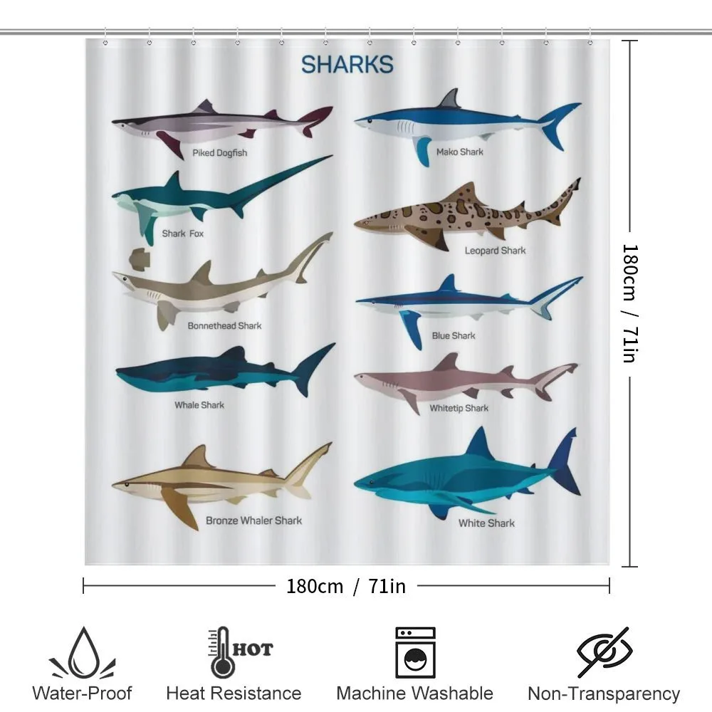 Cartoon Shark Types Wild — Detail 2
