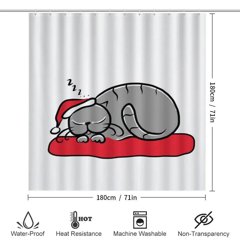 Cat with Santa Hat — Detail 2