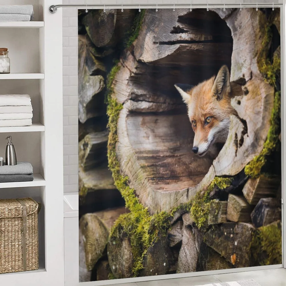 Nature Wild Fox Forest — Detail 4