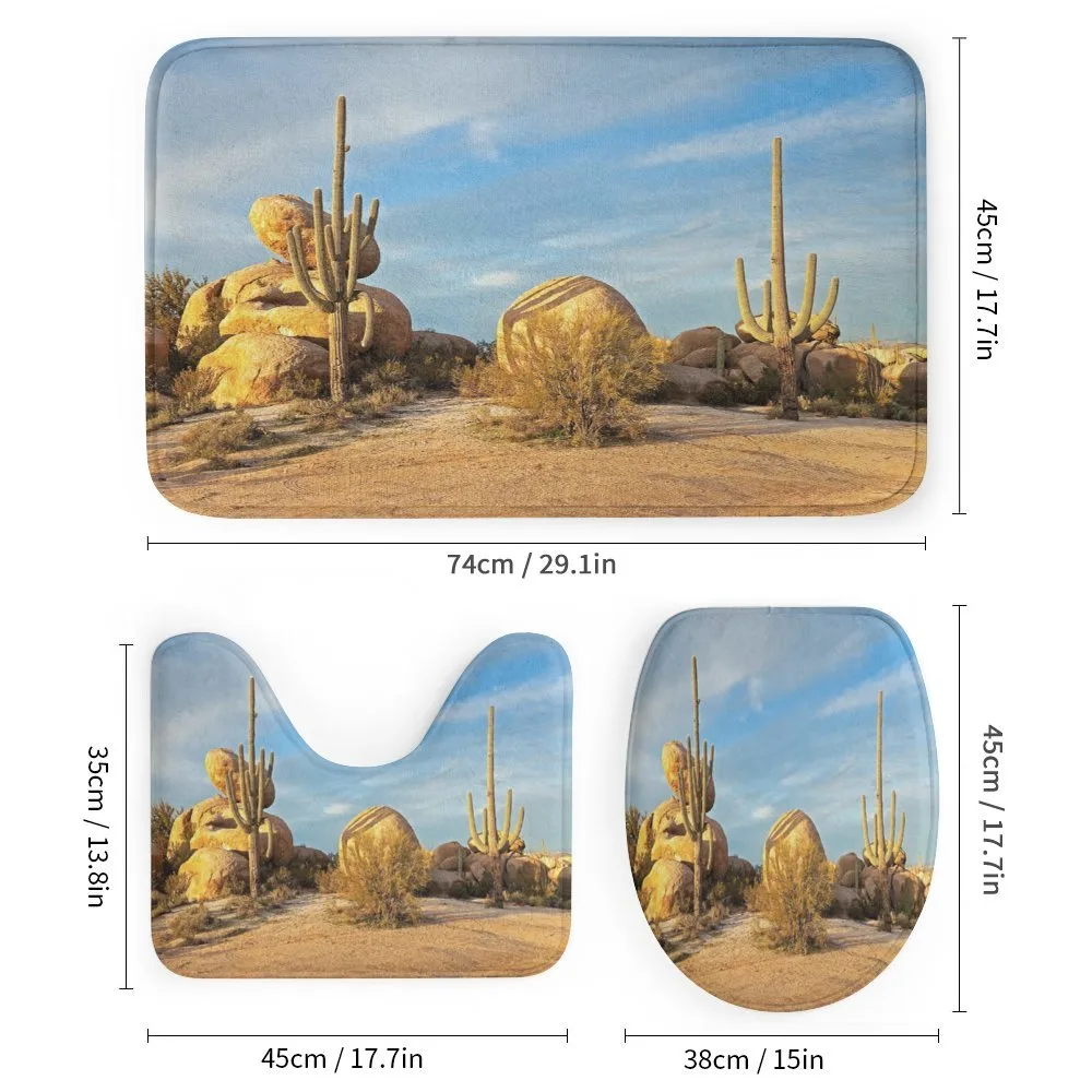 Saguaros Boulders Sunset — Detail 1