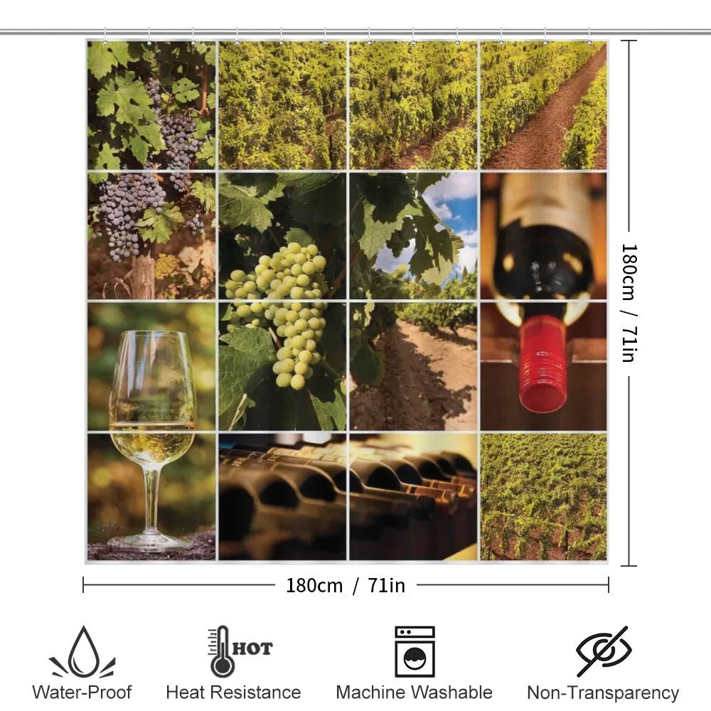 Vineyard Grapes Landscapes — Detail 2