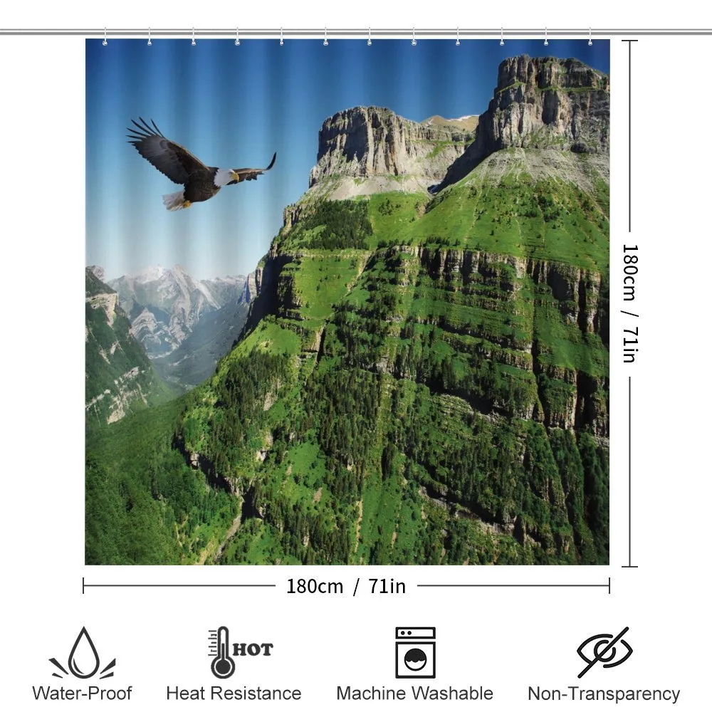Bird Mountain Fly — Detail 2