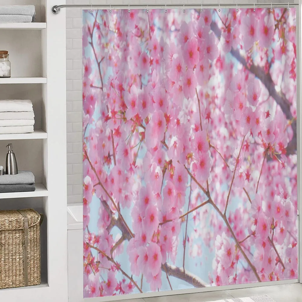 Japanese Sakura Flowers — Detail 4