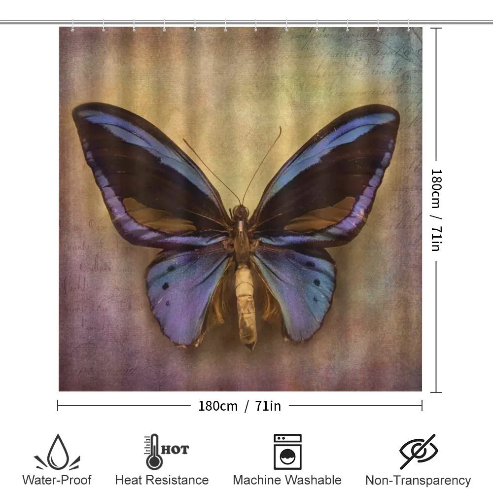 Monarch Butterfly — Detail 2
