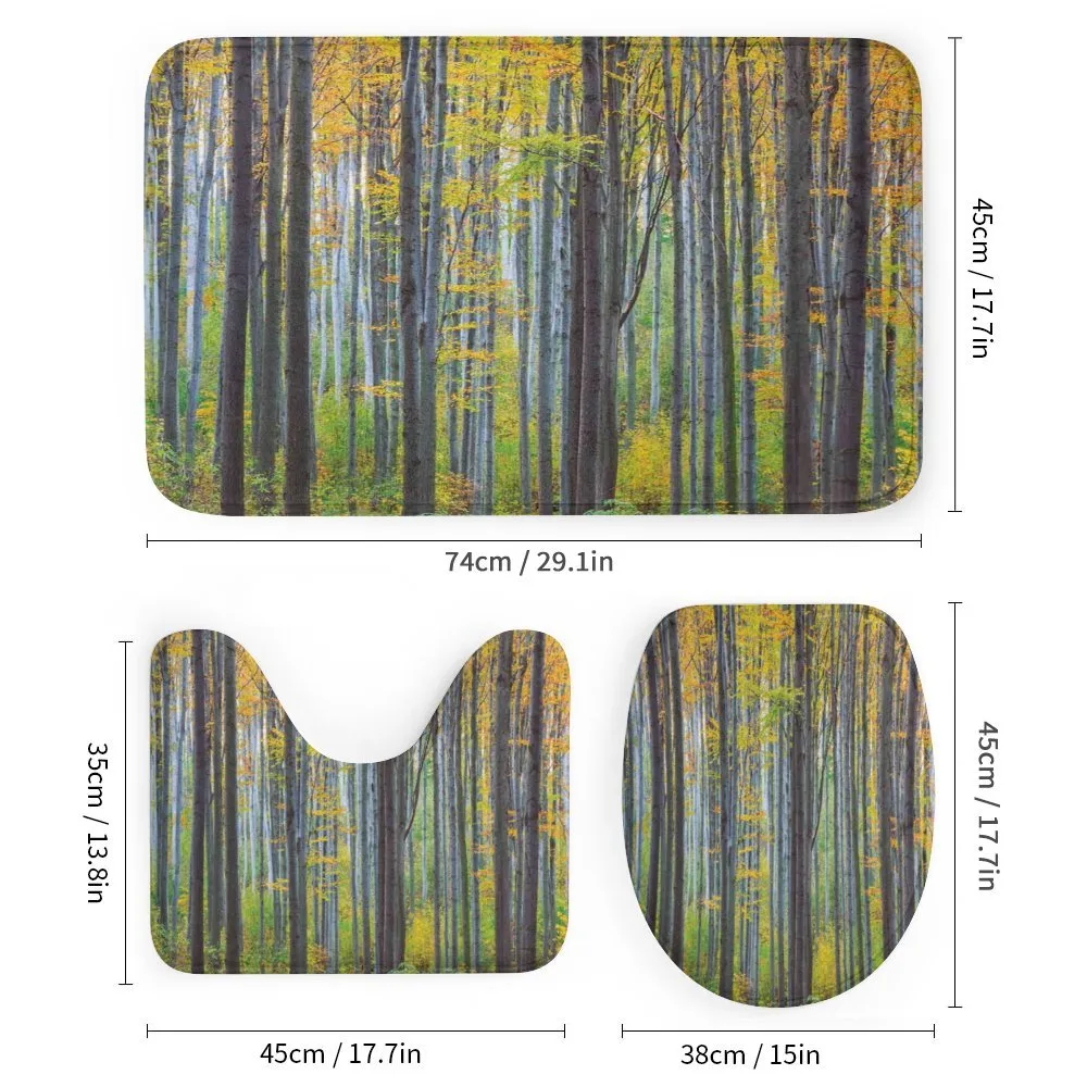 Autumn Season Beech Forest — Detail 1