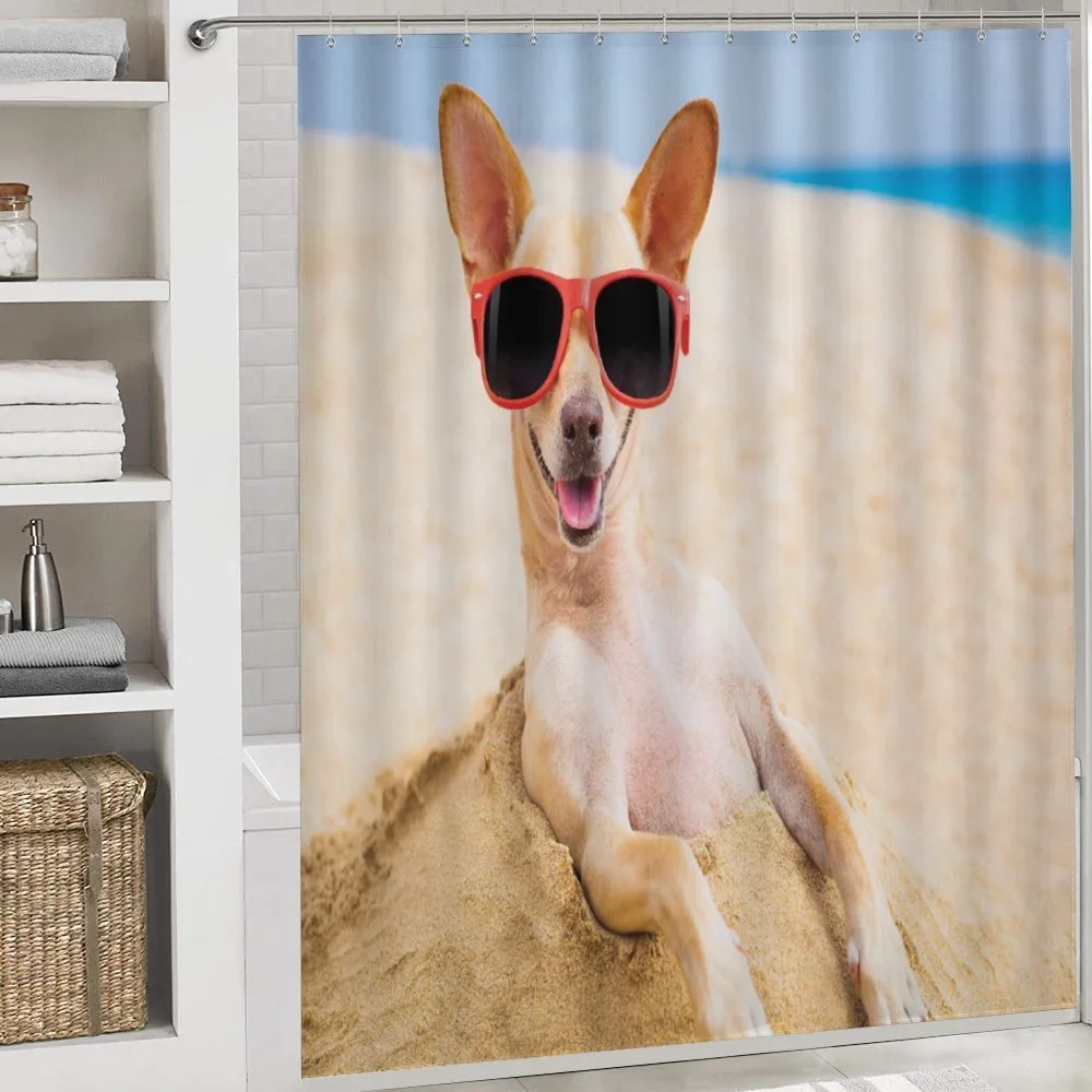 Cool Dog at Sandy Beach — Detail 4