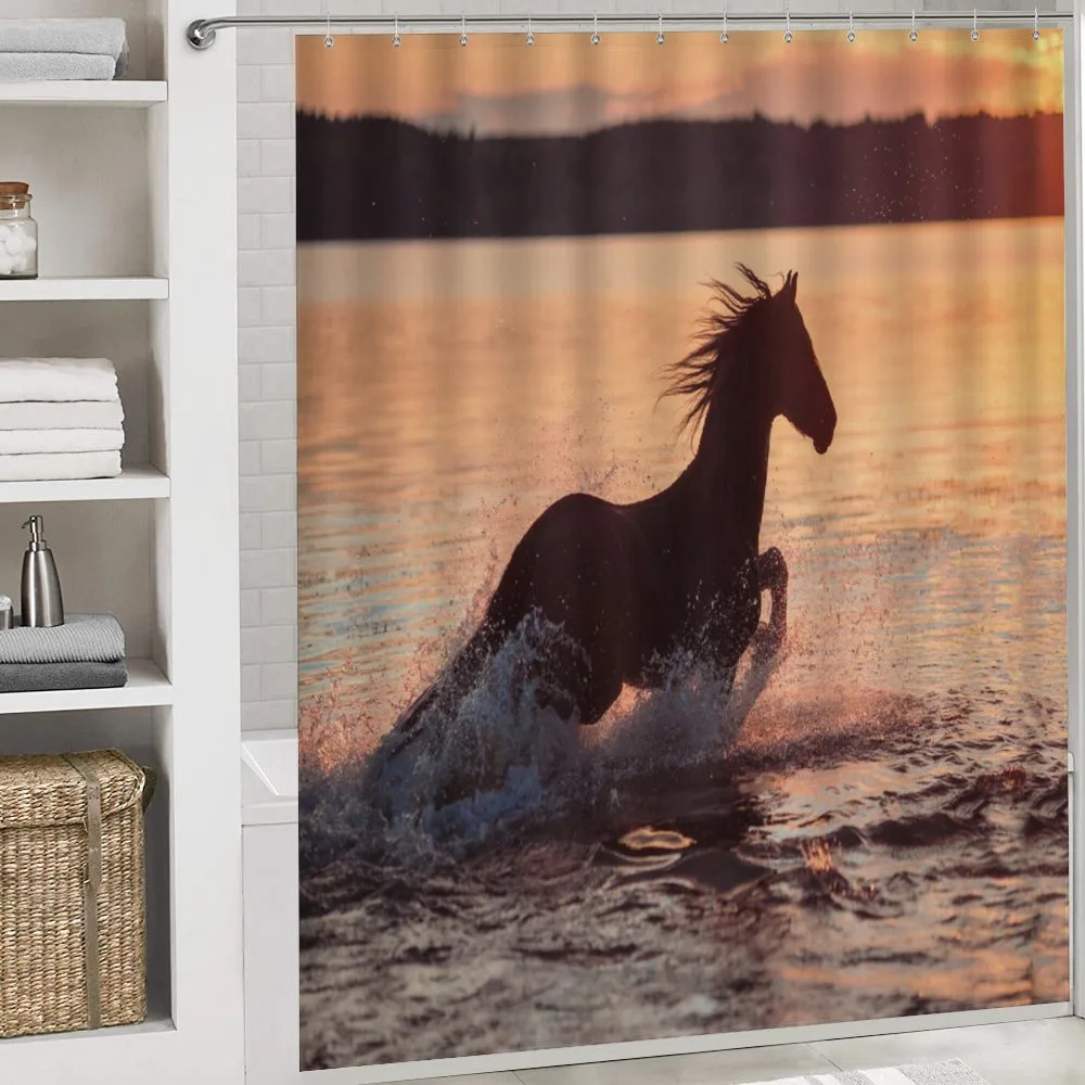 Horse Sea at Sunset — Detail 4