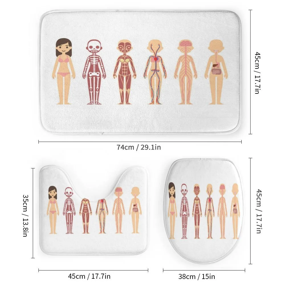 Female Body Anatomy Chart — Detail 1