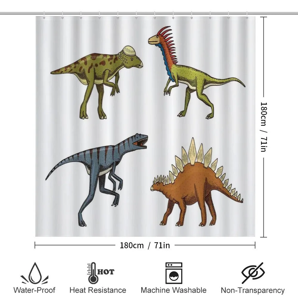 Reptile Fossils Animals — Detail 2