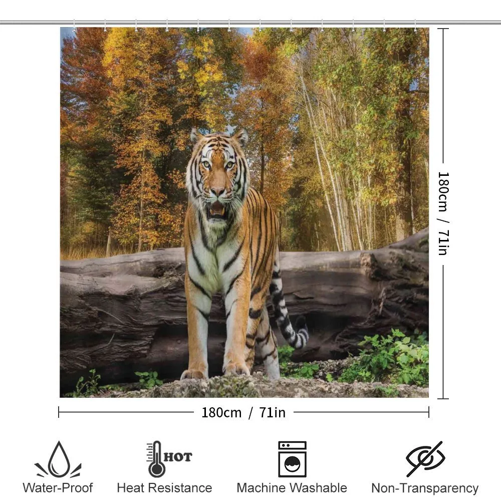 Tiger in Forest — Detail 2