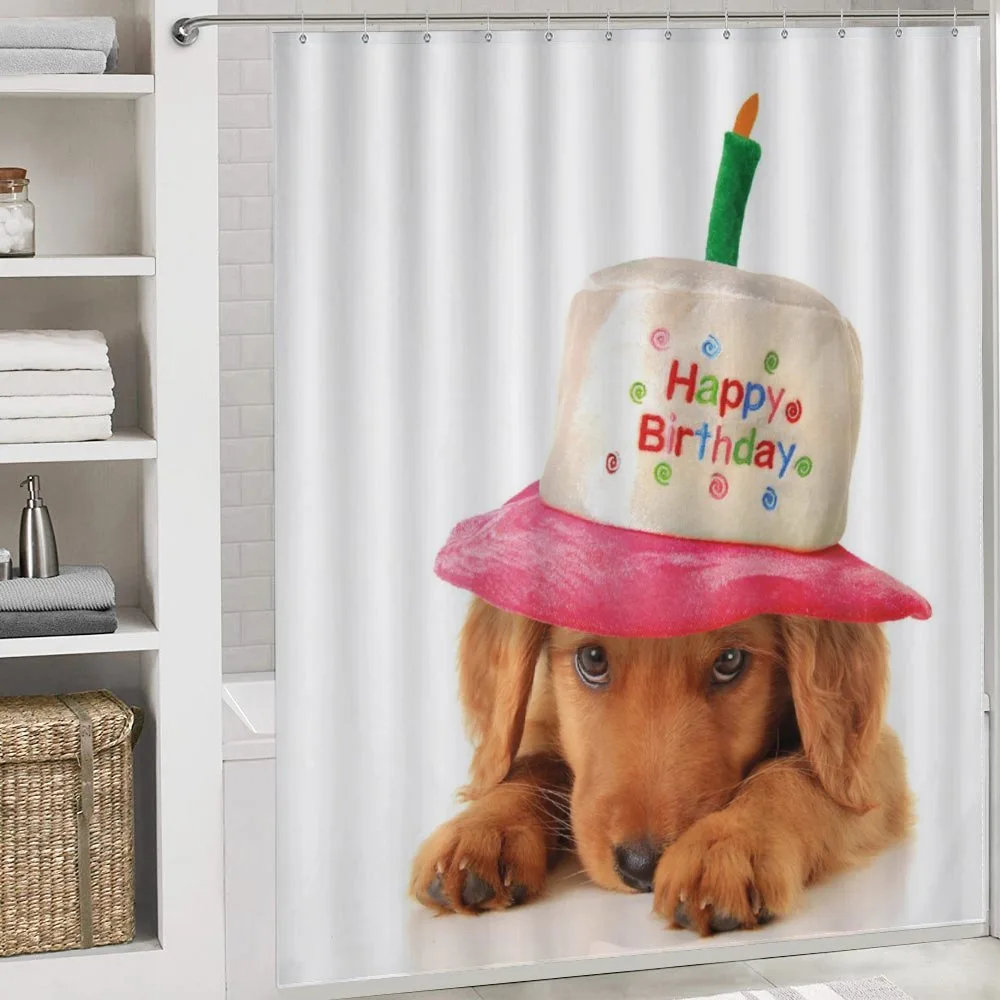 Young Puppy with Hat — Detail 4