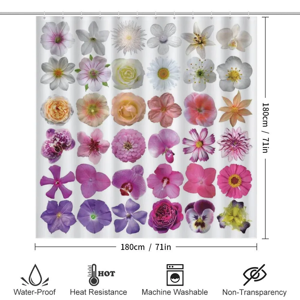 Flowers Petunia Botanic — Detail 2