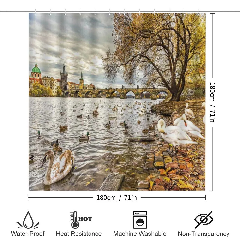 Swimming Swans in River — Detail 2