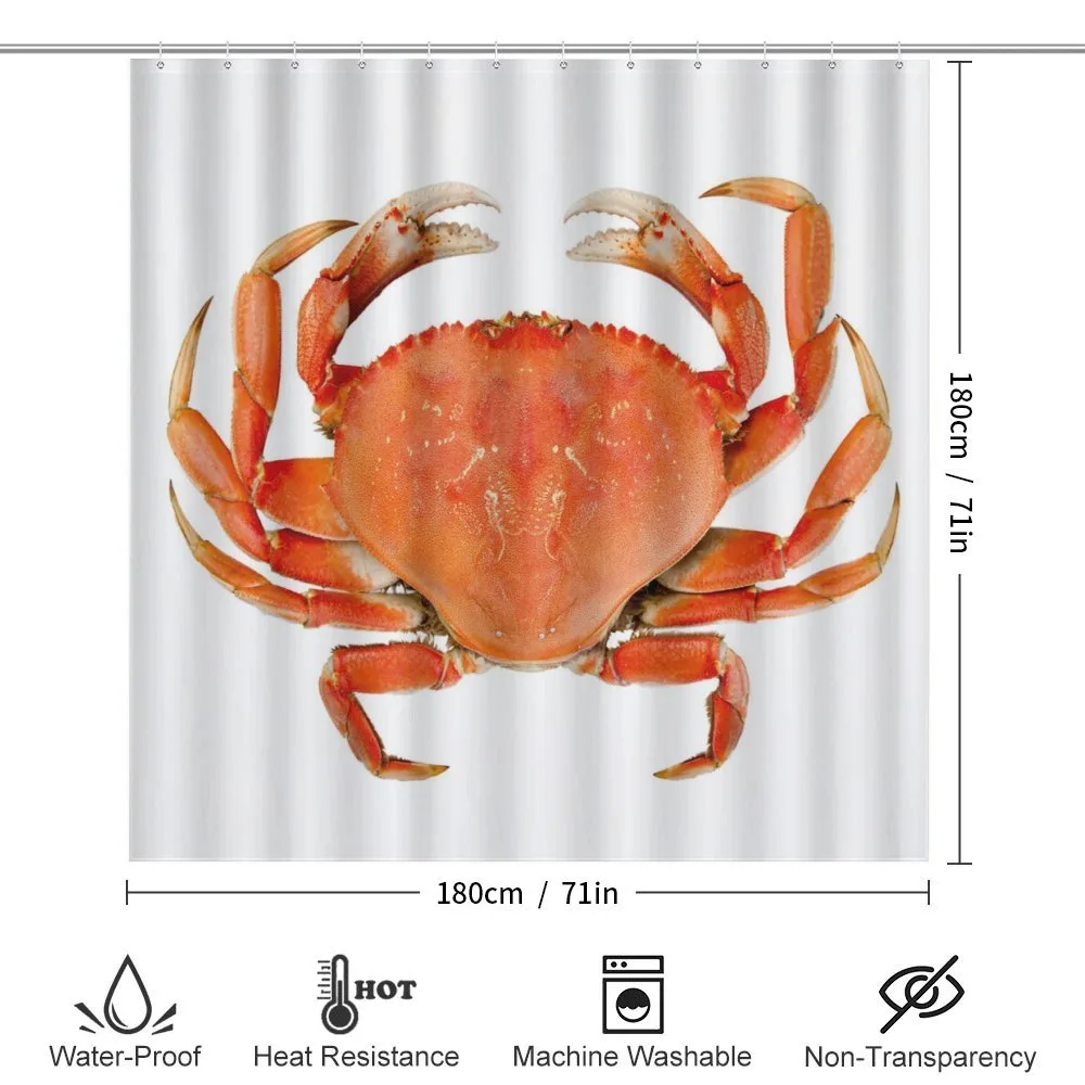 Cooked Dungeness Crab — Detail 2