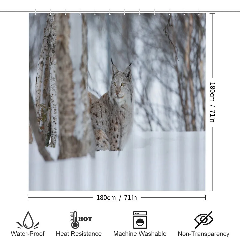 European Lynx Wilderness — Detail 2