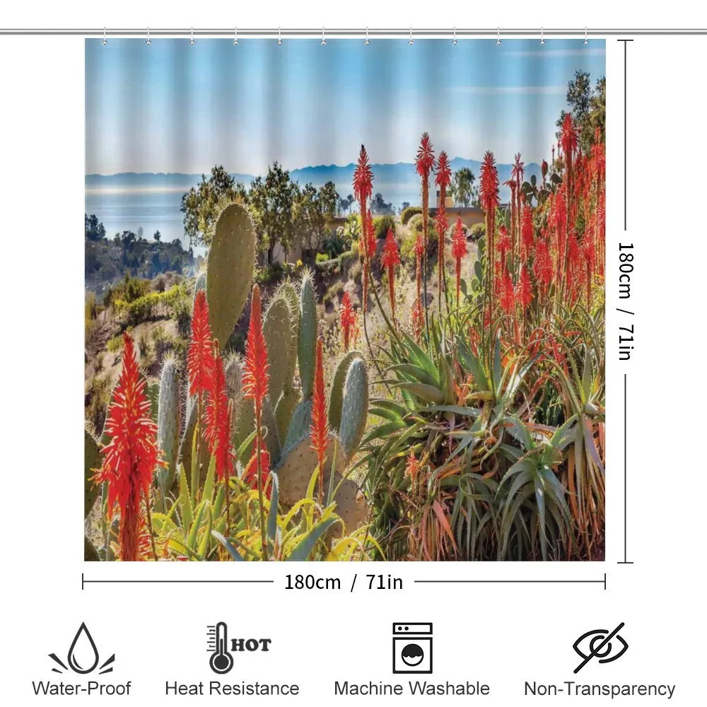 Desert Mountain Photo — Detail 2
