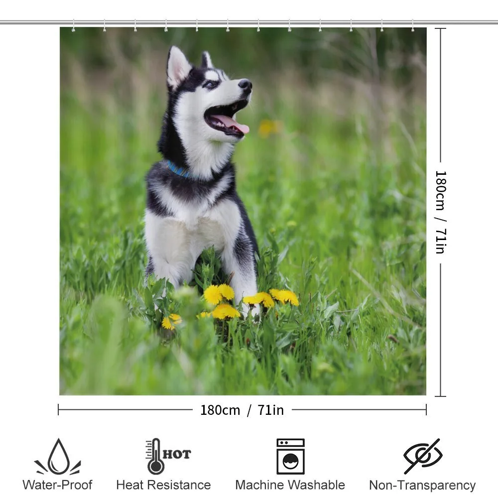 Puppy on Grass — Detail 2