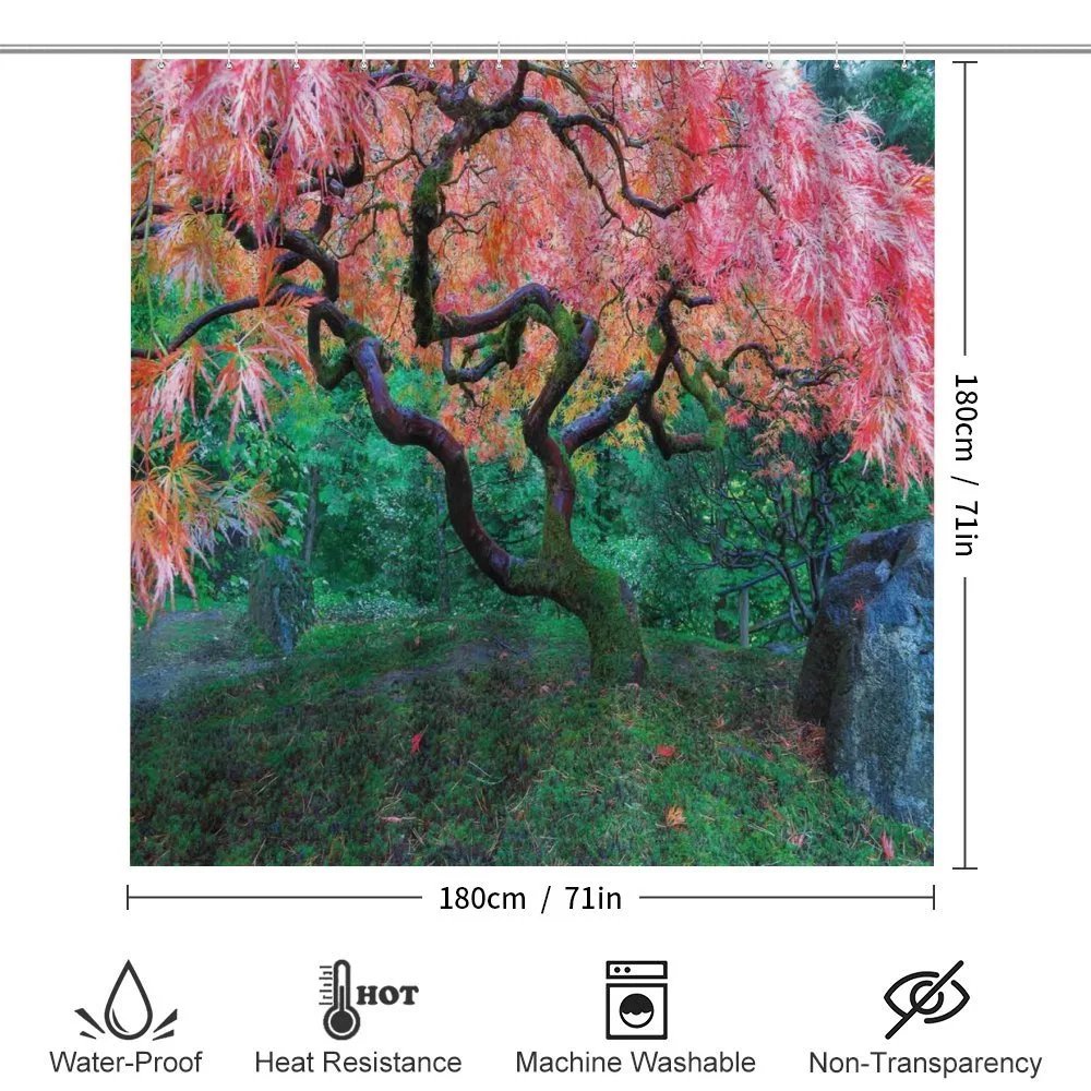 Red Leaf Maple in Garden — Detail 2