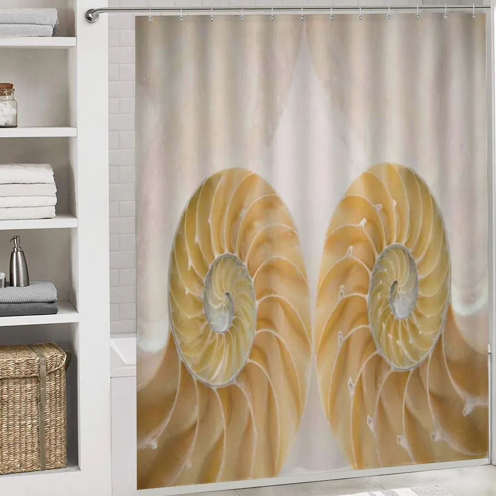 Symmetrical Seashells — Detail 4