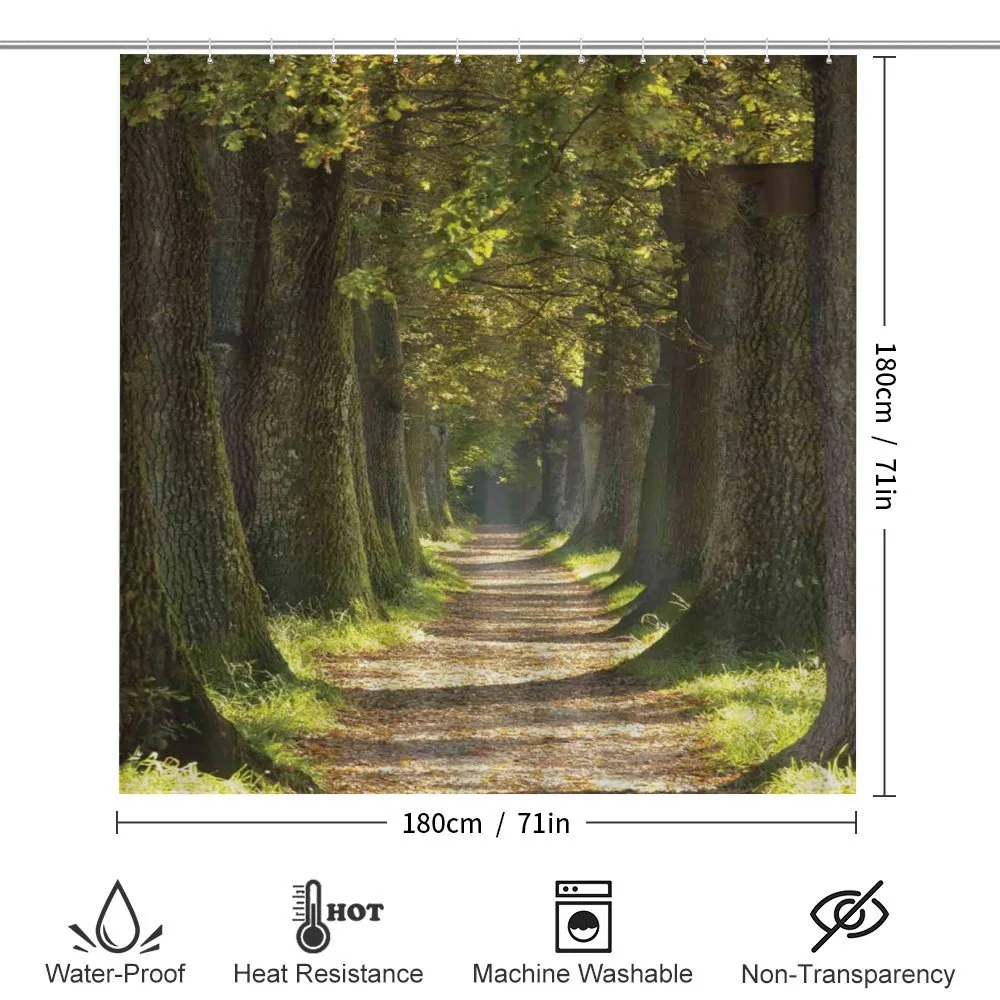 Alley with Oak Trees — Detail 2