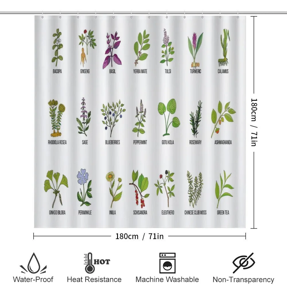 Educational Herbs Design — Detail 2