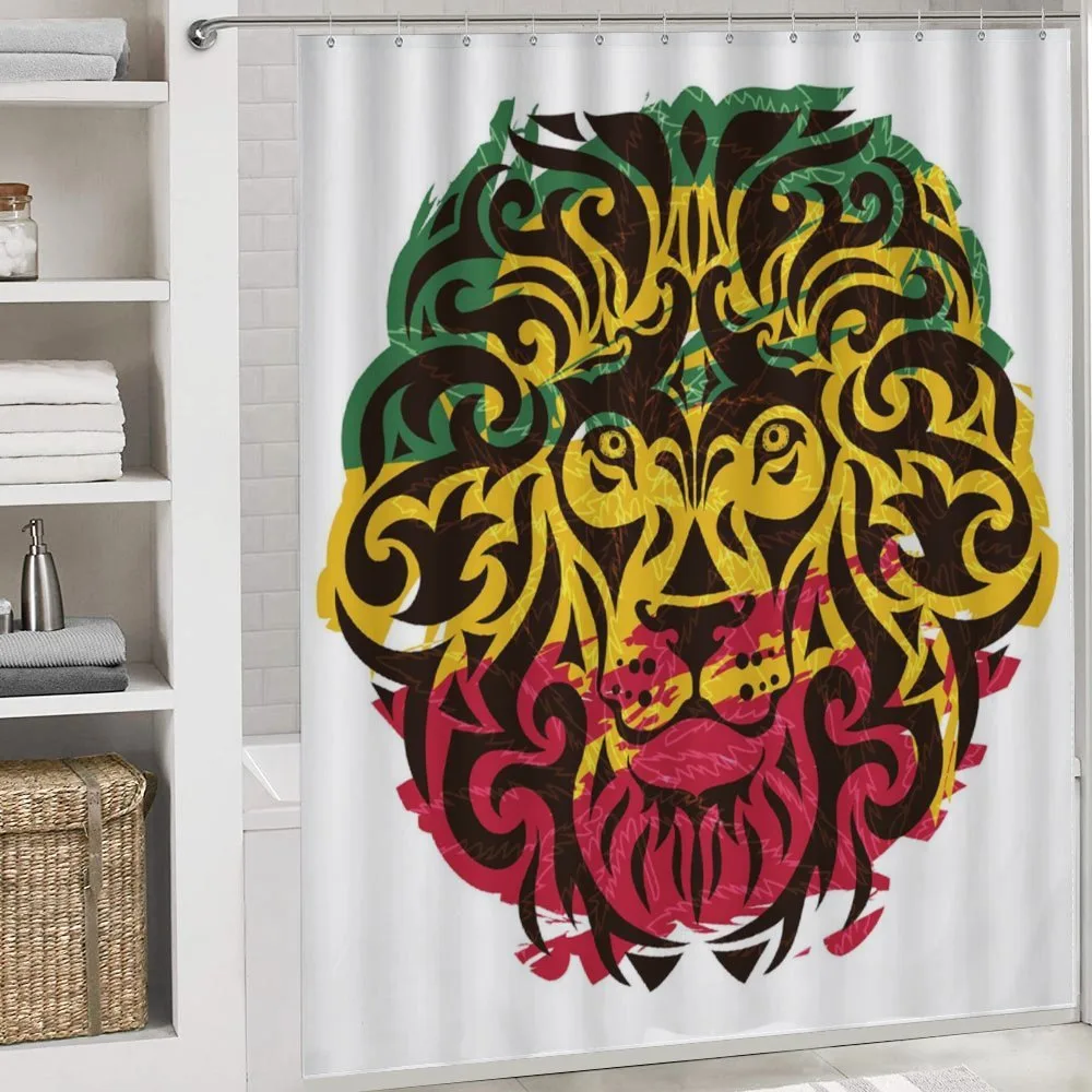 Ethiopian Wild Lion Head — Detail 4