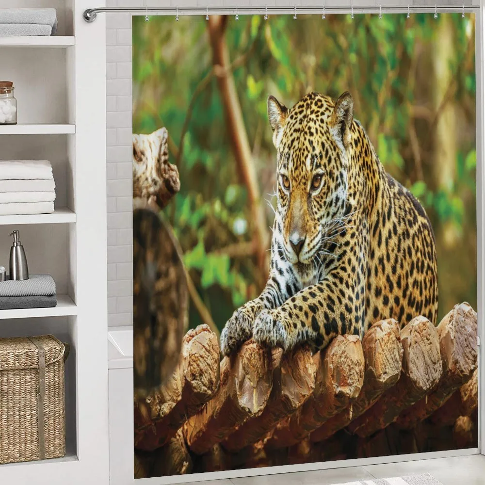 Jaguar on Wood Wild Feline — Detail 4