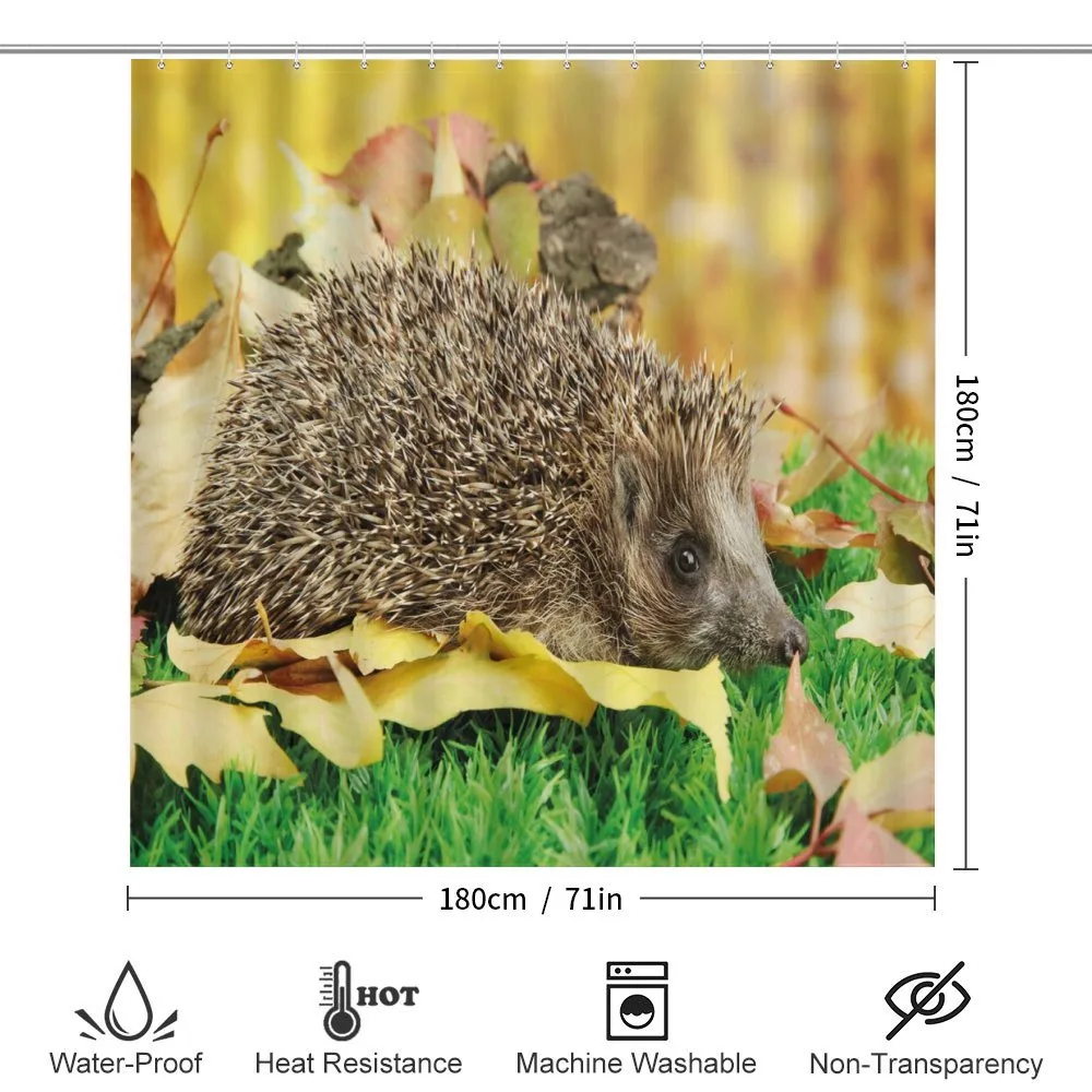 Little Hedgehog — Detail 2