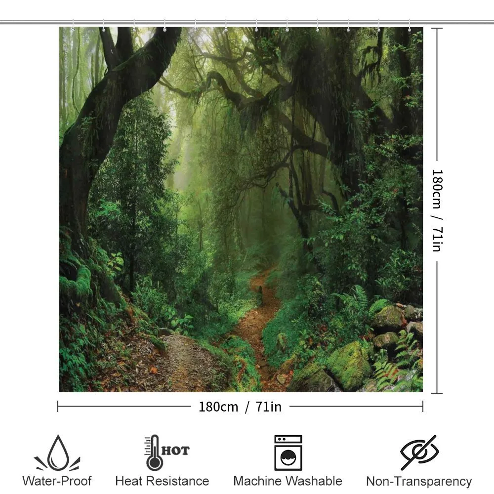 Forest in Asia Touristic — Detail 2