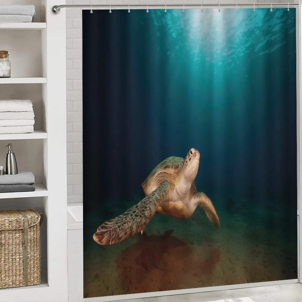 Green Turtle Sunbeam — Detail 4