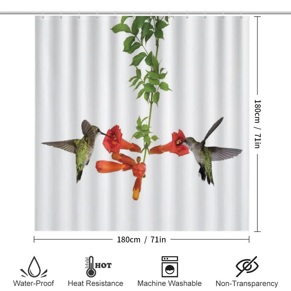 Hummingbird Nectar Sip — Detail 2