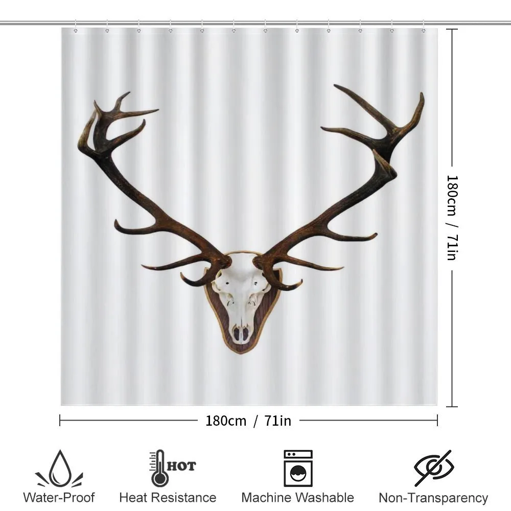 Deer Stag Bones Mounted — Detail 2