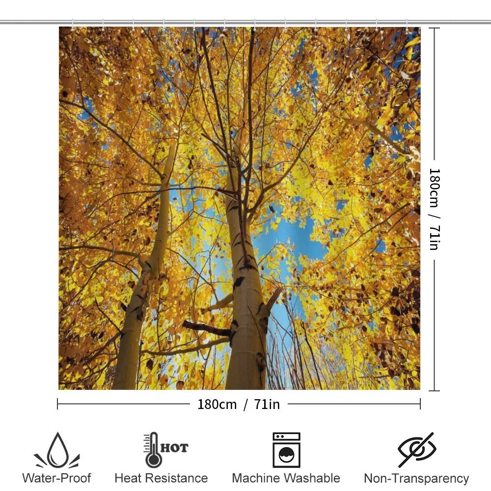 Autumn Trees Leaf Forest — Detail 2