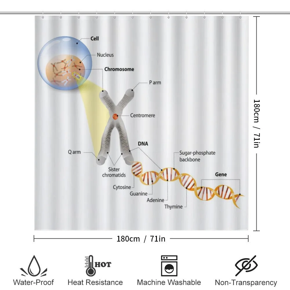 DNA Gene Genome — Detail 2