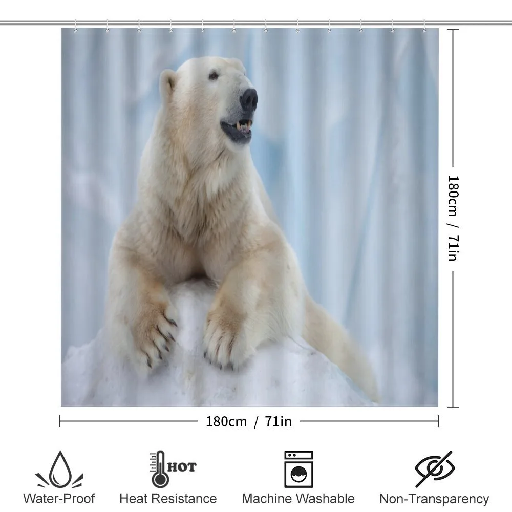 White Polar Bear on Ice — Detail 2
