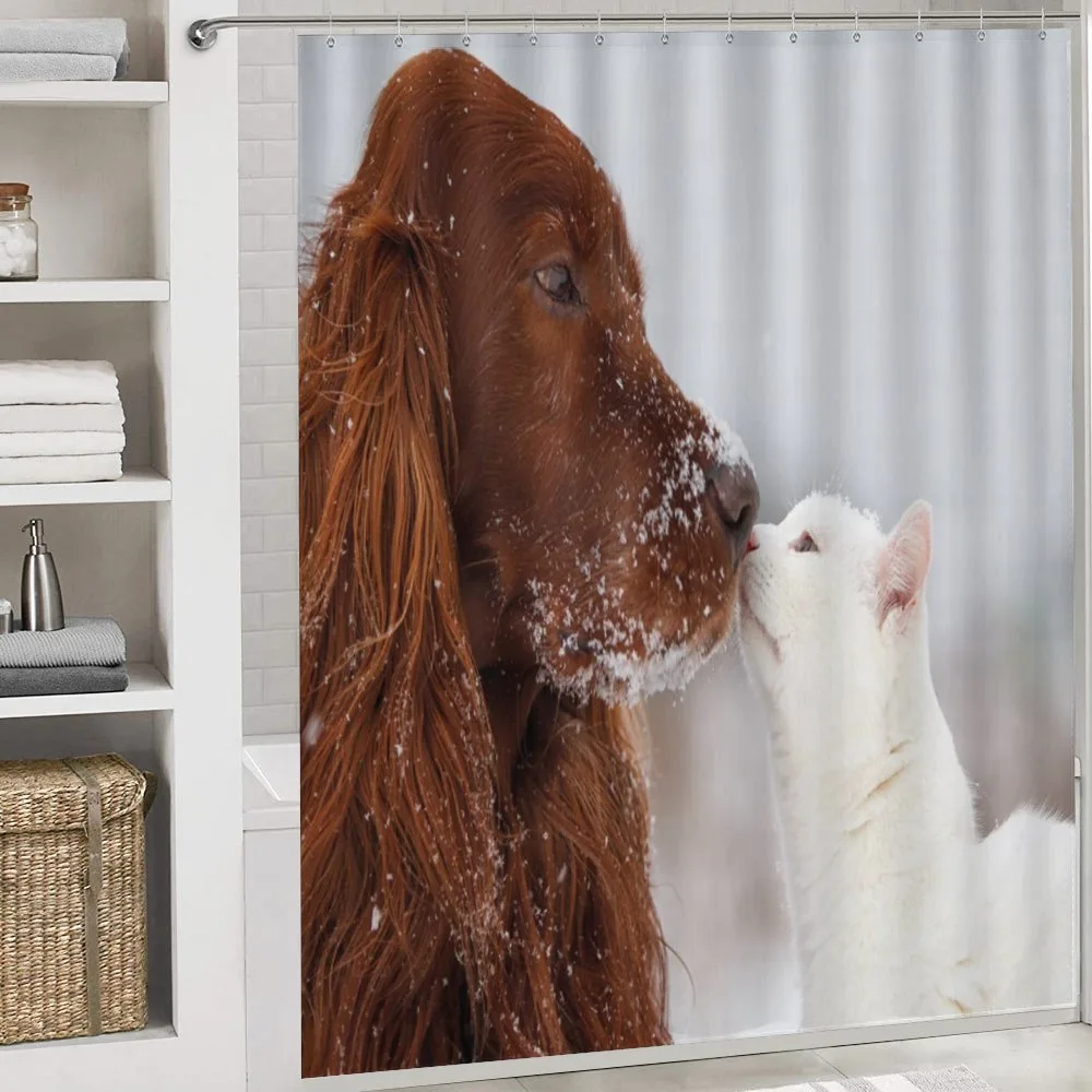 Irish Setter Cat — Detail 4