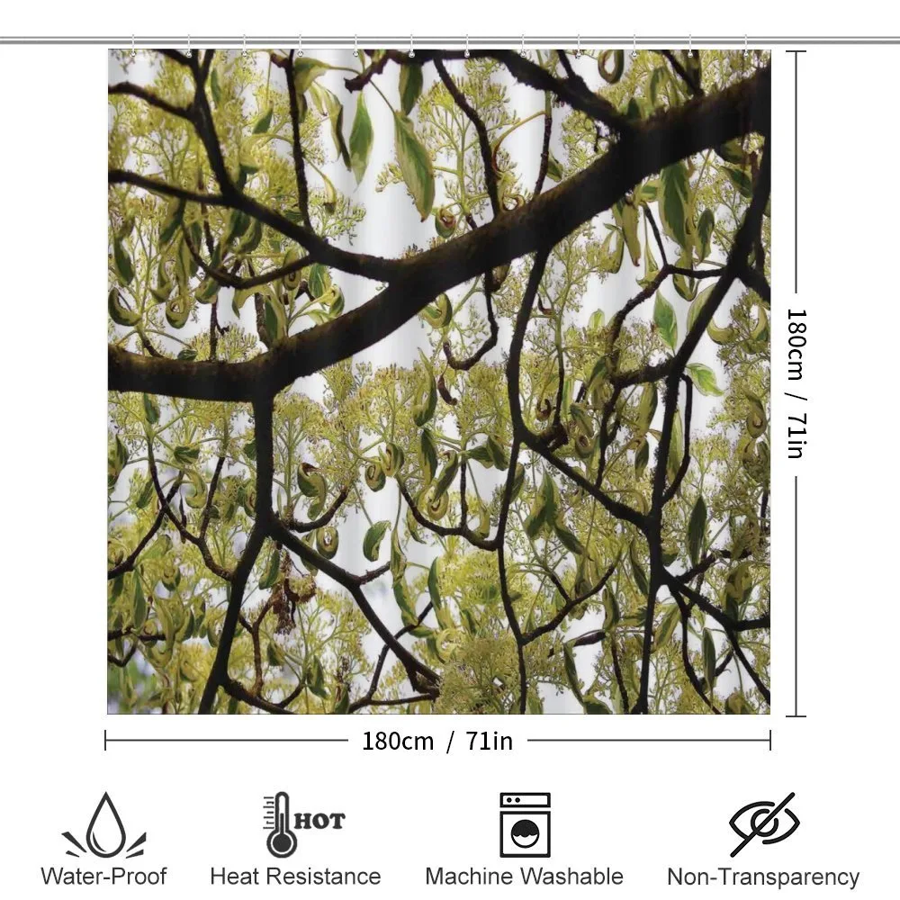 Close up Leafy Branches Photo — Detail 2