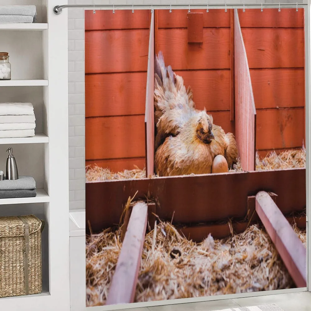 Hen in Cage with Eggs — Detail 4