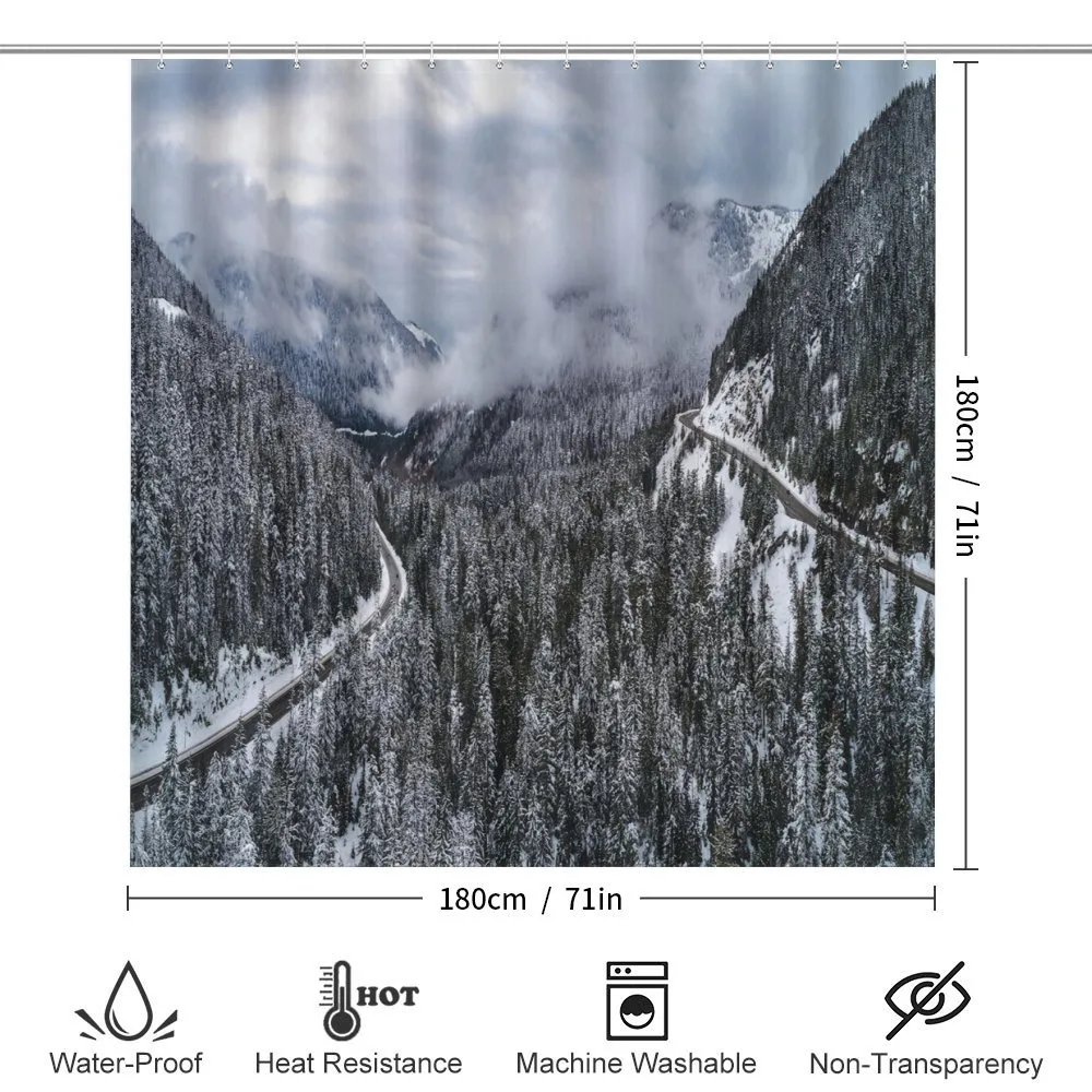 Highway in Winter Forest — Detail 2