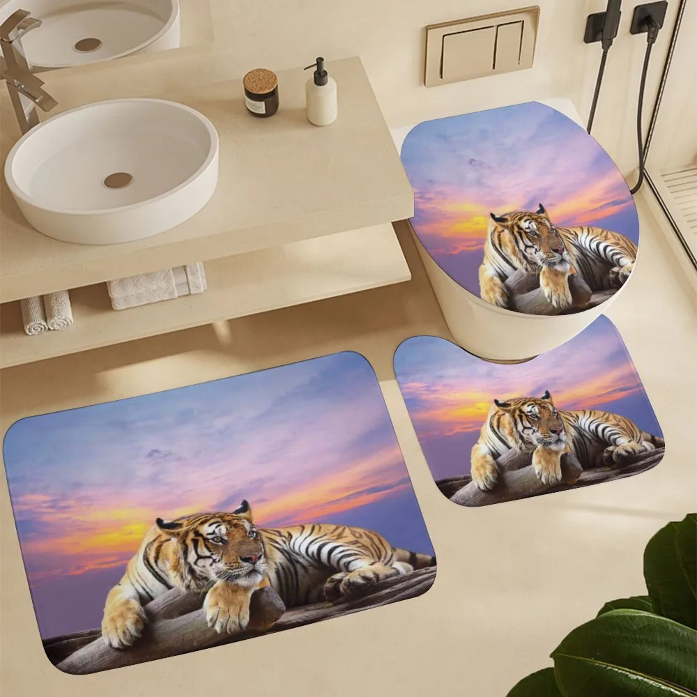 Tiger Colorful Sunset — Detail 5