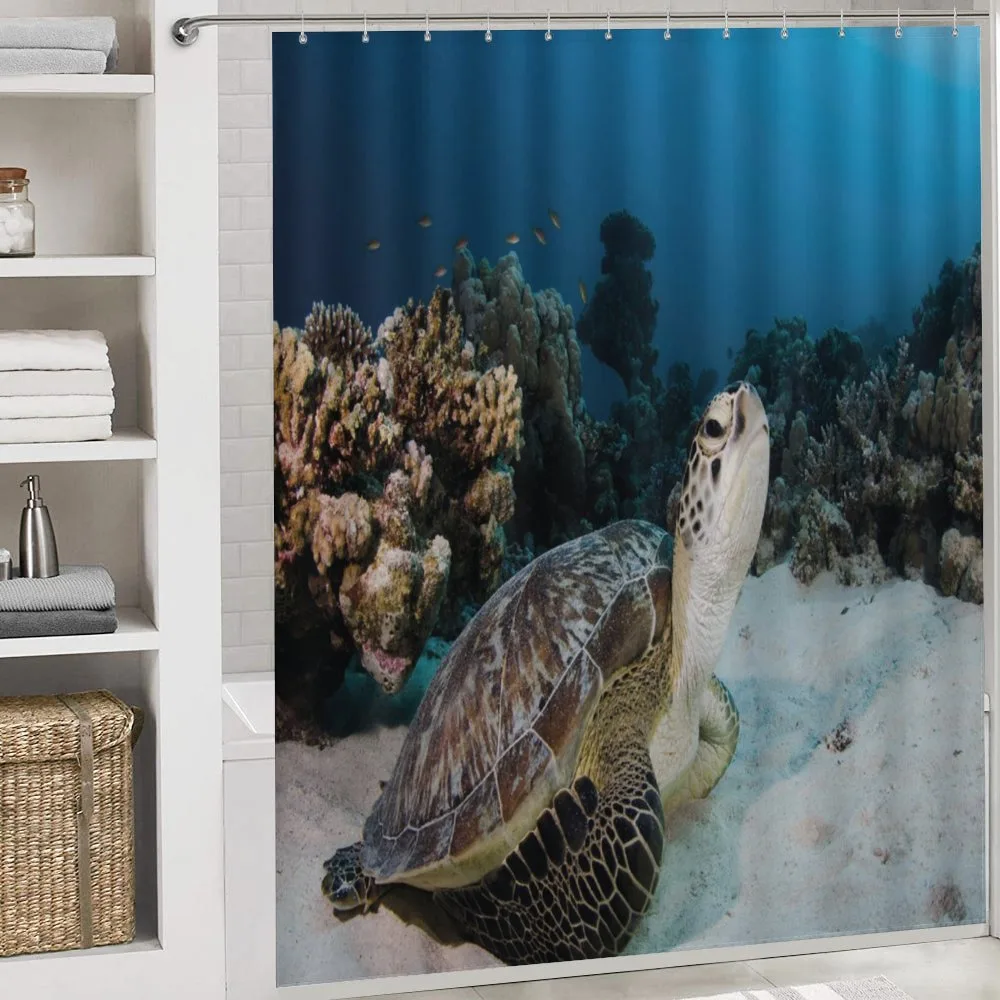Turtle Coral Reef — Detail 4