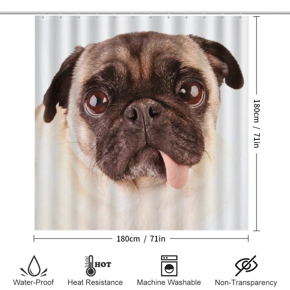 Upset Dog Sad Eyed Pet — Detail 2