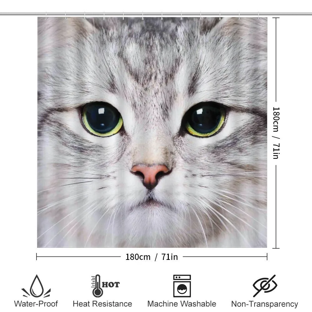 Face of a Domestic Kitty — Detail 2