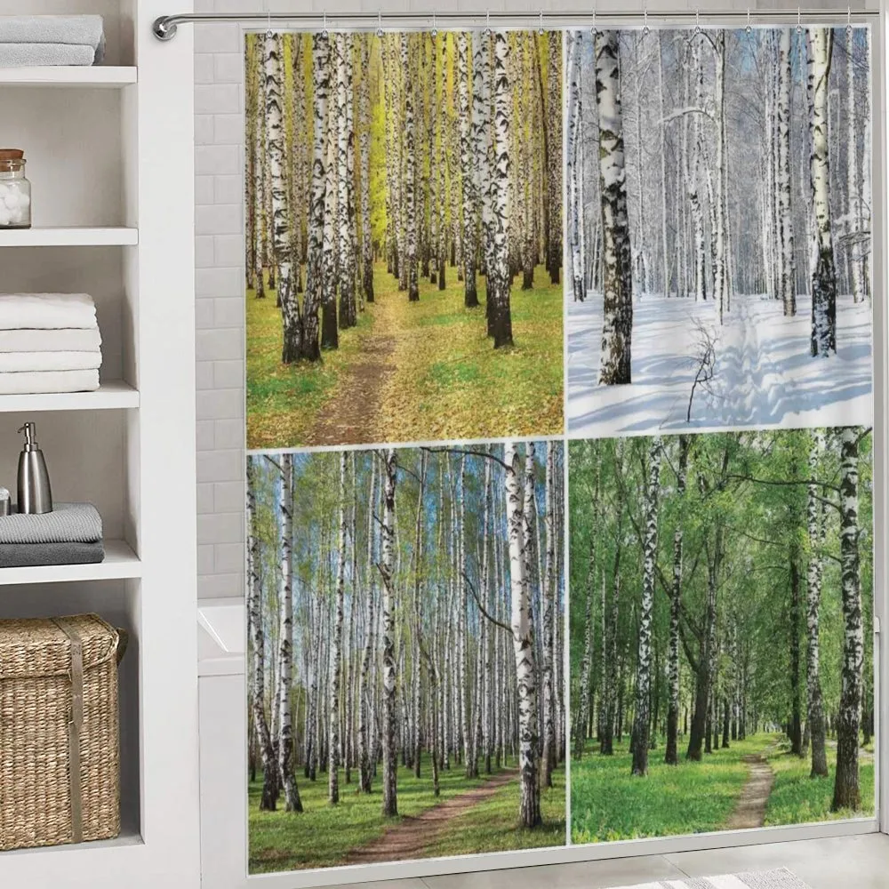 Fall Winter Birch Tree — Detail 4