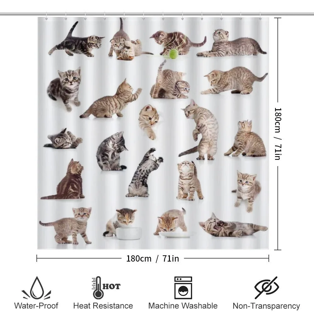 Funny Playful Cats Image — Detail 2
